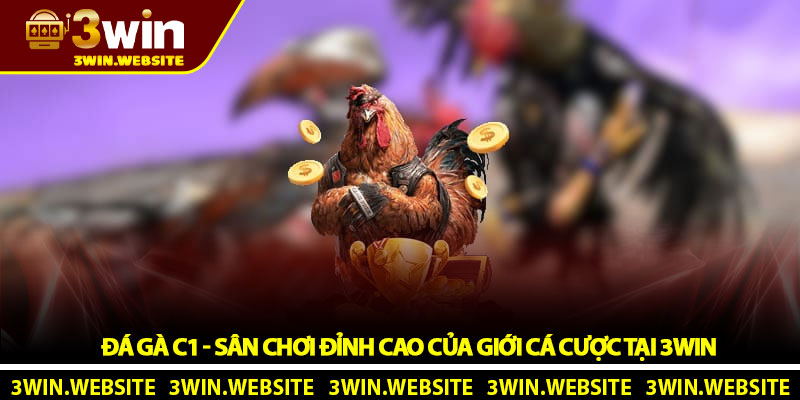 Đá gà C1 - Sân chơi đỉnh cao của giới cá cược tại 3Win