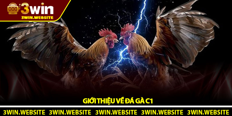 Giới Thiệu Về Đá Gà C1