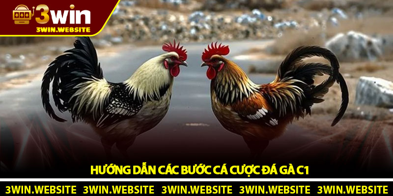 Hướng Dẫn Các Bước Cá Cược Đá Gà C1